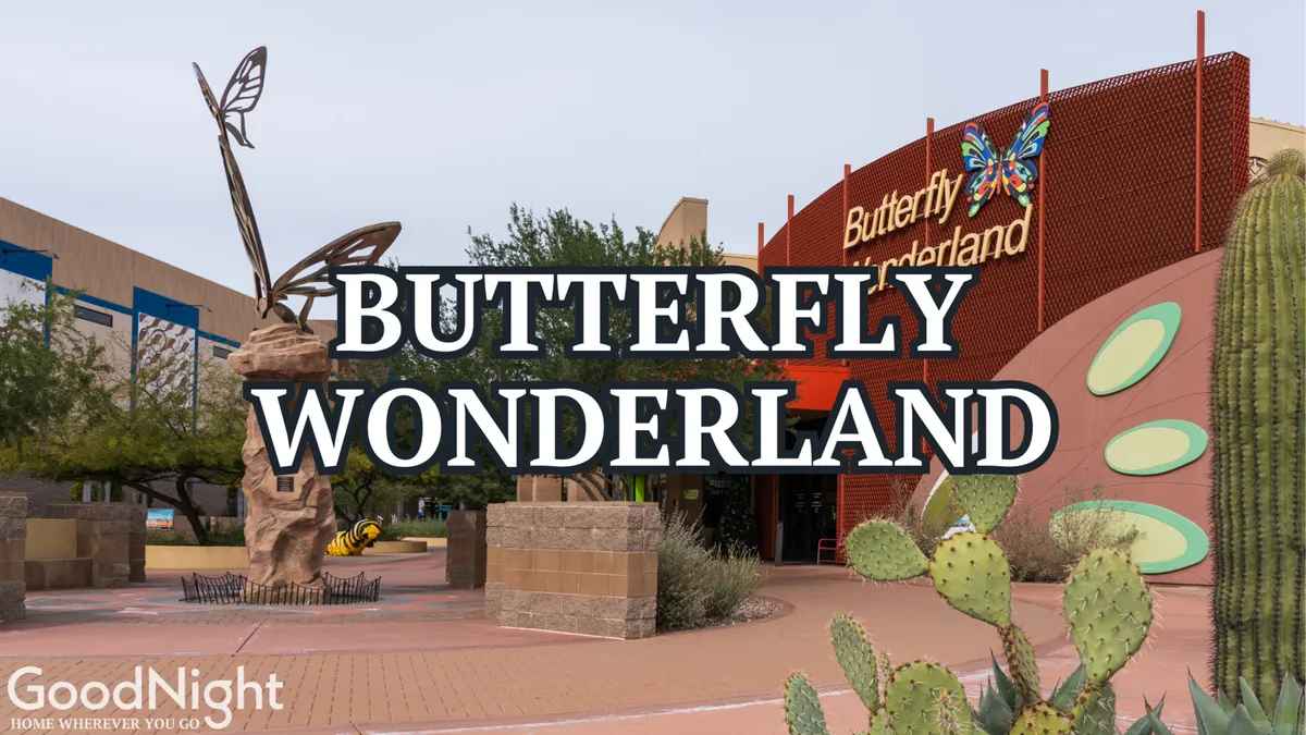 The exterior of Butterfly Wonderland features a whimsical large butterfly sculpture, clear signage, native cacti, and inviting landscaped pathways. The space feels enchanting and family-friendly, signaling interactive exhibits and hands-on experiences inside.