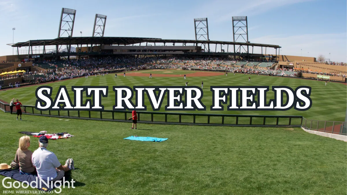 This exterior image showcases a lively baseball stadium with a vibrant crowd of spectators, the field in action, and families enjoying picnics and socializing on the grass during a game. The stadium structure and atmosphere evoke the excitement of attending a live sporting event.